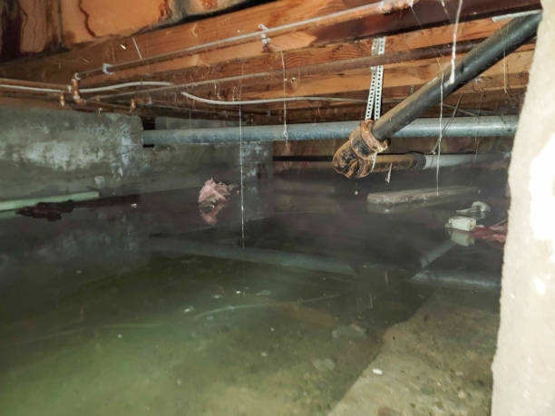 Best Emergency water damage restoration  in Woodstock, IL