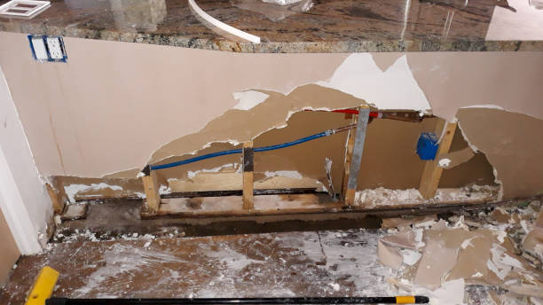 Best Local water damage restoration  in Woodstock, IL