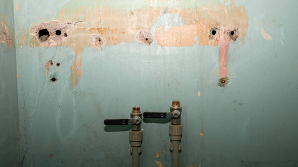 Best Water damage restoration experts  in Woodstock, IL
