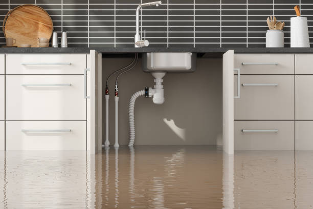 Best Water damage restoration near me  in Woodstock, IL