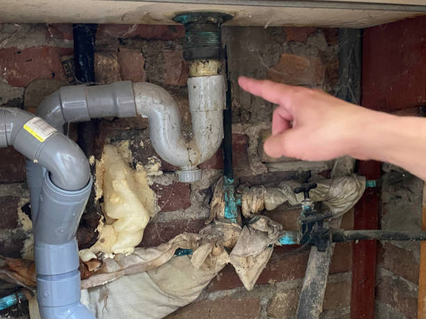 Best Fire Damage Restoration  in Woodstock, IL