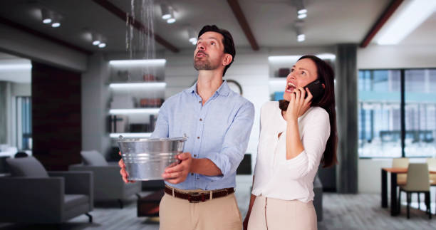 Best Mold removal after water damage  in Woodstock, IL