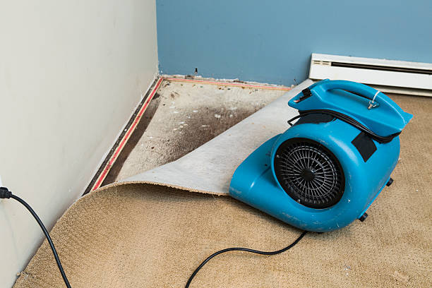  Woodstock, IL Water damage restoration Pros