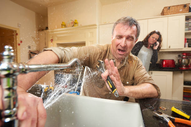 Best Professional water damage repair  in Woodstock, IL